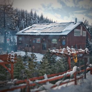 Holidays in the year of the COVID
