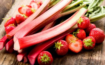 A Few Fruits and Berries for Truckee