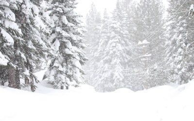 Mid-Winter 2018-2019